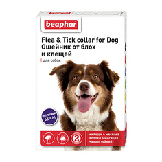 BEAPHAR Ошейник от блох для собак фиолетовый