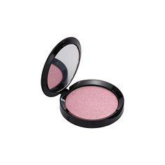 Хайлайтер для лица PUROBIO Пудра-Хайлайтер Resplendent Highlighter