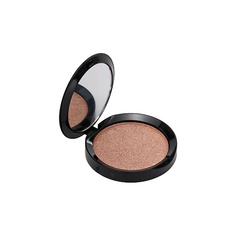 Хайлайтер для лица PUROBIO Пудра-Хайлайтер Resplendent Highlighter