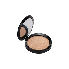 Хайлайтер для лица PUROBIO Пудра-Хайлайтер Resplendent Highlighter