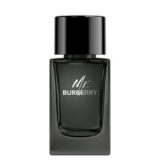 Мужская парфюмерия BURBERRY Mr. Burberry Eau de Parfum 100