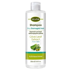 KALLISTON Шампунь для сухих и поврежденных волос с АЛОЕ ВЕРА и ЭКСТРАКТОМ ЛИСТЬЕВ ОЛИВЫ