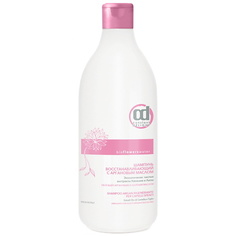 CONSTANT DELIGHT Шампунь BIO FLOWERS для восстановления волос с аргановым маслом