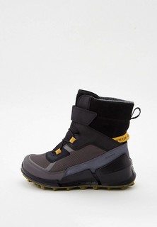 Ботинки Ecco ECCO BIOM K2
