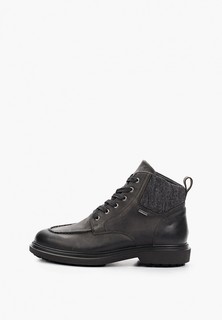 Ботинки Geox 