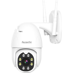 IP-камера Falcon Eye PATRUL