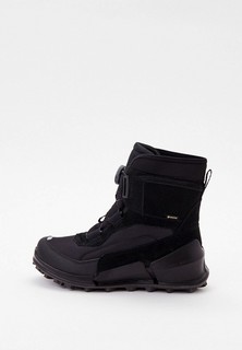 Ботинки Ecco ECCO BIOM K2