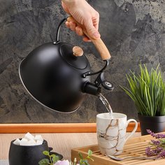 Чайник нержавеющая сталь, 2.5 л, со свистком, ручка металл, дерево, Daniks, черный, MSY-078B