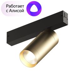 Светильник Трековый светодиодный светильник Denkirs Smart Spot DK8020-BG