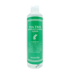 SECRET KEY Тонер для лица очищающий с маслом чайного дерева Tea Tree Refresh Calming Toner 248