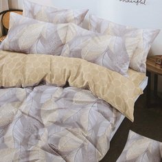 Постельное белье евростандарт, простыня 200х220 см, 2 наволочки 70х70 см, пододеяльник 200х220 см, Адель, поплин, Золотой дождь