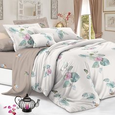 Постельное белье 2-спальное, простыня 200х220 см, 2 наволочки 70х70 см, пододеяльник 175х215 см, Cleo, поплин, коллекция Pure Cotton, 20/224-PC