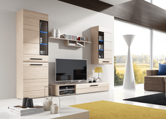 Гостиная Кёльн-2 МДФ Фиеста Эко