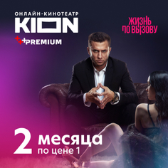 Цифровой продукт KION