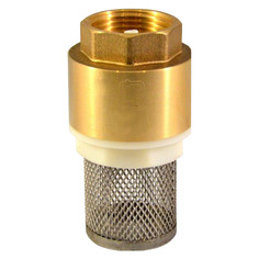 Предохранительная арматура для трубопроводов клапан обратный с сетчатым фильтром CTM 1" STM