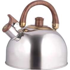 Металлический чайник Rainstahl