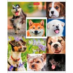 Тетрадь Hatber