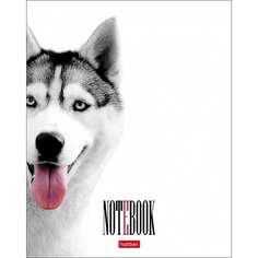 Тетрадь Hatber