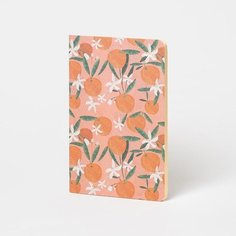 Блокнот Tangerine, А5 Falafel Books