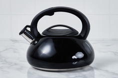 Чайник со свистком Morgan Berkraft