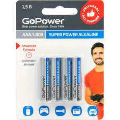 Батарейка GoPower