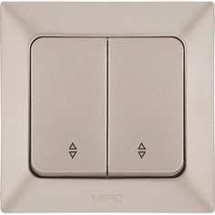 Проходной двухклавишный выключатель NE-AD