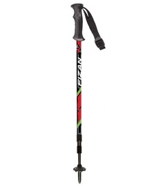 Палки трекинговые EXPLORER Fizan