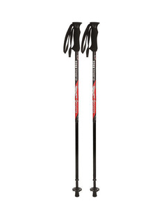 Палки трекинговые COMPACT ELBRUS RACE Fizan