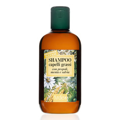 Шампунь для волос ARDES Шампунь для жирных волос, от облысения Shampoo capelli grassi 250.0