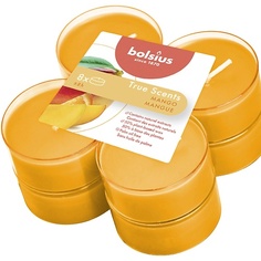 Набор ароматических свечей BOLSIUS Свечи чайные арома Bolsius True scents манго