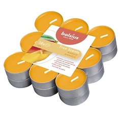 Набор ароматических свечей BOLSIUS Свечи чайные арома Bolsius True scents манго 245