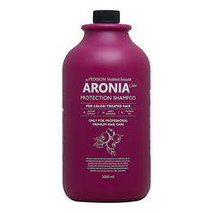 Шампуни EVAS Pedison Шампунь для волос Арония Institute-beaut Aronia Color Protection Shampoo 2000