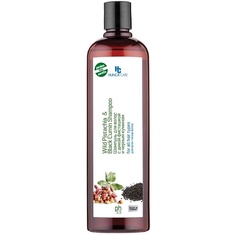 Шампуни HUNCA Шампунь для волос с дикой фисташкой и черным кумином Hunca Care 650