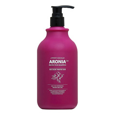 Шампуни EVAS Pedison Шампунь для волос Арония Institute-beaut Aronia Color Protection Shampoo 500