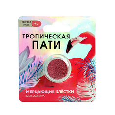 Набор для дизайна ногтей BEAUTY FOX Мелкие блёстки для декора ногтей «Тропическая пати», цвет фуксия