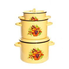 Набор посуды эмалированная сталь, 6 предметов, кастрюли 1.5,2.9,4.5 л, индукция, СтальЭмаль, Урожай, 1с33