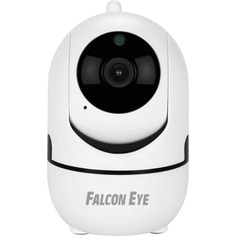 IP-камера Falcon Eye MINON