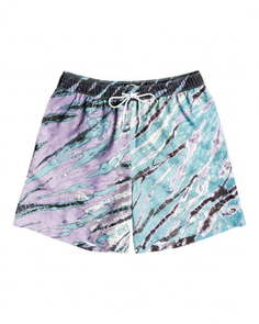 Мужские плавательные шорты Wasted Times Billabong