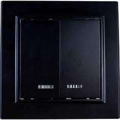 Двухклавишный выключатель STEKKER