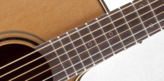 P3NC NEX CUTAWAY Takamine
