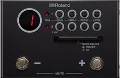TM-1 Roland