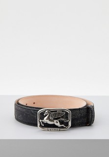 Ремень Etro 