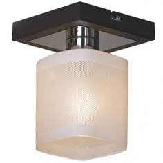 Светильник Потолочный светильник Lussole Costanzo GRLSL-9007-01