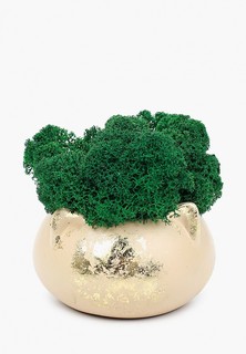 Фигурка декоративная Diego Ferru Кот