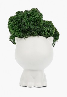 Фигурка декоративная Diego Ferru «Котёнок» из гипса, мох