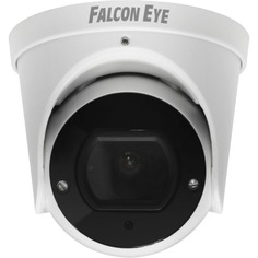 IP-камера Falcon Eye FE-IPC-D2-30p