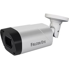 IP-камера Falcon Eye FE-IPC-BV2-50pa