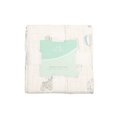 Муслиновое одеяло Aden+Anais