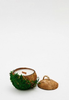 Свеча ароматическая Diego Ferru «Пряный Кедр» в кокосовом бочонке со мхом, 200 мл