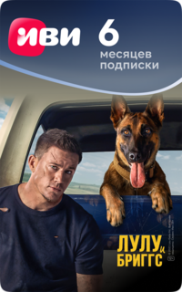 Цифровой продукт ИВИ ivi